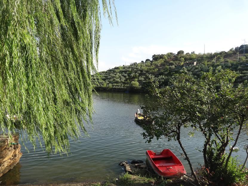 Casa Da Caroline Villa Freixo de Espada à Cinta Kültér fotó
